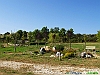 Cascate del Verde-photogallery-P1011791+.jpg